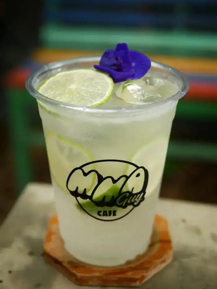 MMA GUY Cafe & Ice Bath