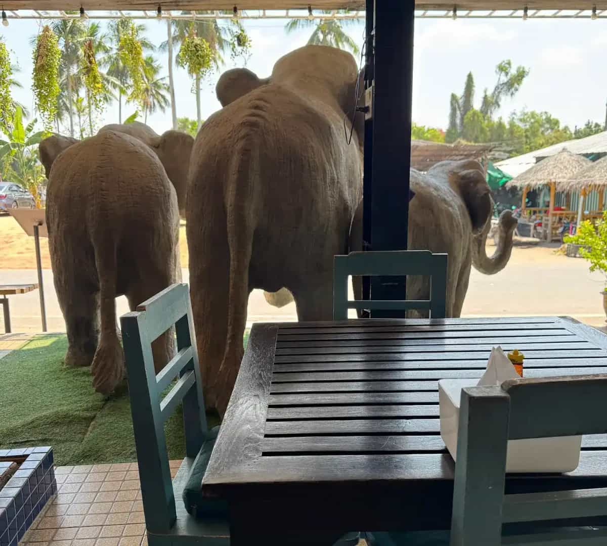 ELEPHANT house cafe