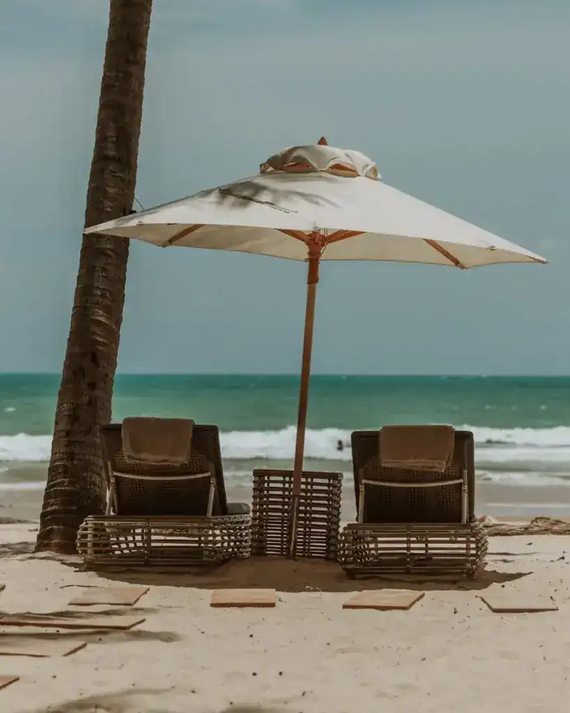 The Lazy Coconut
