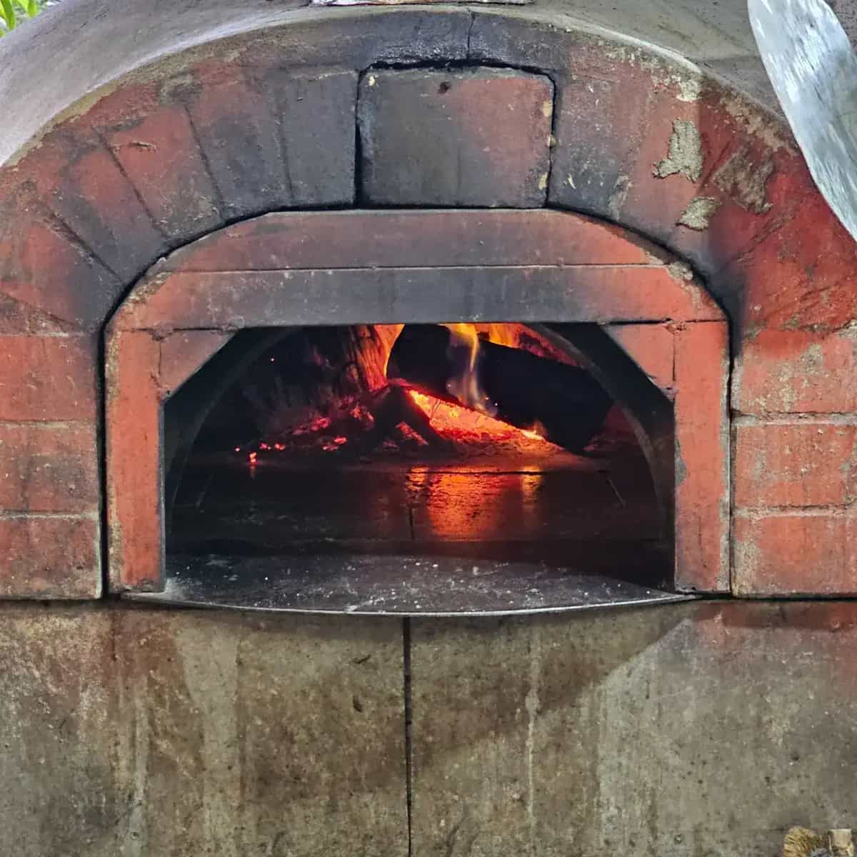 Bravo Pizza