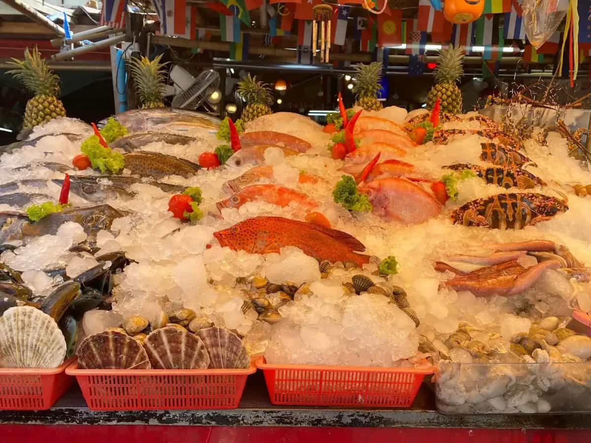 Bounty Seafood unit3