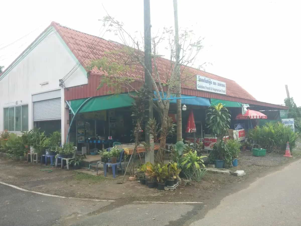 Golden Food & Vegetarian Food
