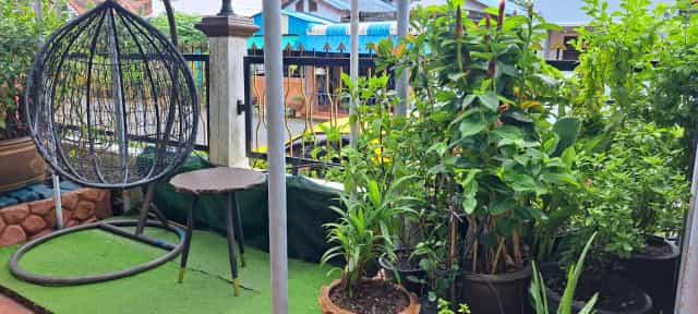 อาหารเหนือล้านนา