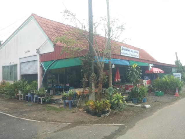 Golden Food & Vegetarian Food